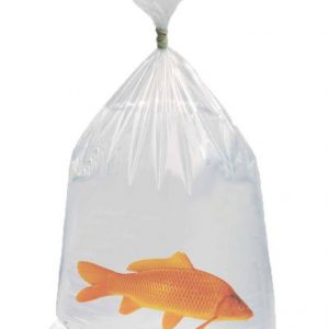 FISH TRANSPORT BAGS - 120cm x 45cm (100 Pieces) - Koi Pond - Koi Ponds in  Cyprus - Professional Koi Pond Equipment