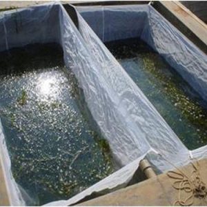 FRY BREEDING CAGE NETS - 3’X 4’X 30″